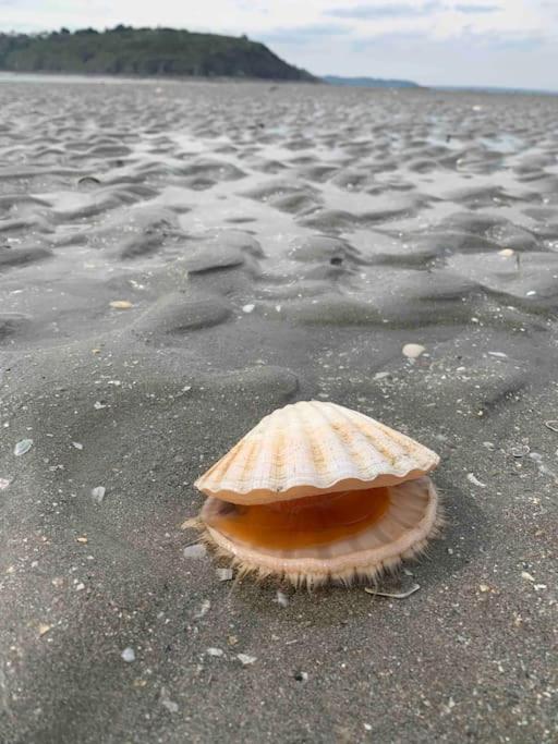 Ravissant Studio En Bord De Mer Plérin Esterno foto